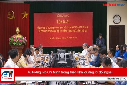 Tư tưởng  Hồ Chí Minh trong triển khai đường lối đối ngoại