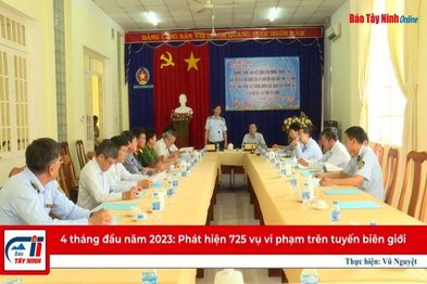 4 tháng đầu năm 2023: Phát hiện 725 vụ vi phạm trên tuyến biên giới