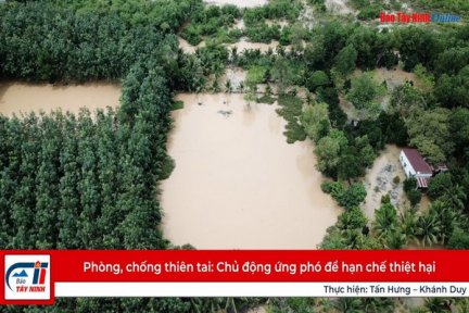 Phòng, chống thiên tai: Chủ động ứng phó để hạn chế thiệt hại