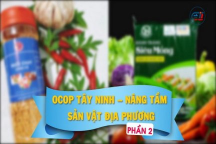 OCOP Tây Ninh–Nâng tầm sản vật địa phương-Phần 2