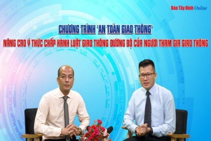 Sử dụng giấy chứng nhận kiểm định, tem kiểm định giả bị xử lý như thế nào?