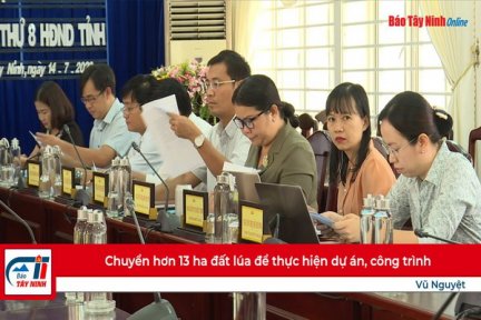 Chuyển hơn 13 ha đất lúa để thực hiện dự án, công trình