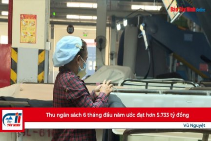 Thu ngân sách 6 tháng đầu năm ước đạt hơn 5.733 tỷ đồng