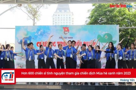 Hơn 600 chiến sĩ tình nguyện tham gia chiến dịch Mùa hè xanh năm 2023