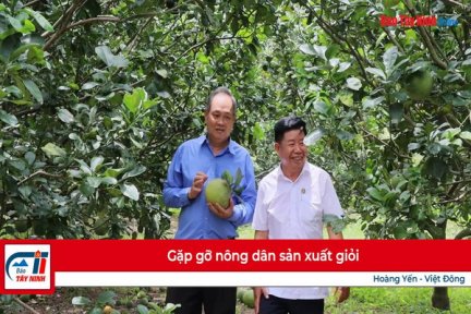 Gặp gỡ nông dân sản xuất giỏi