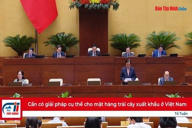 Cần có giải pháp cụ thể cho mặt hàng trái cây xuất khẩu ở Việt Nam