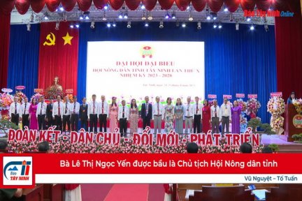 Bà Lê Thị Ngọc Yến được bầu làm Chủ tịch Hội Nông dân tỉnh