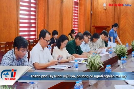 Thành phố Tây Ninh: 10/10 xã, phường có người nghiện ma tuý