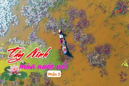 Tây Ninh mùa nước nổi-Phần 2