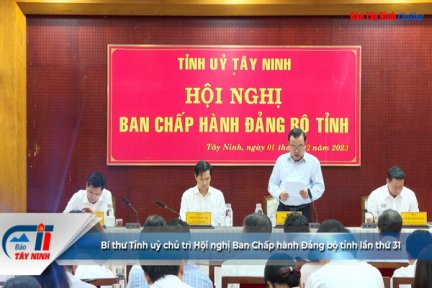 Bí thư Tỉnh uỷ chủ trì Hội nghị Ban Chấp hành Đảng bộ tỉnh lần thứ 31