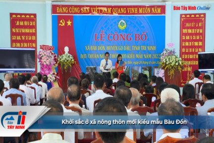 Khởi sắc ở xã nông thôn mới kiểu mẫu Bàu Đồn