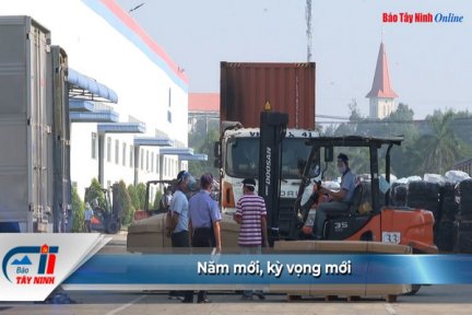 Năm mới, kỳ vọng mới