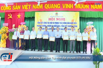 Hội Nông dân tỉnh Tây Ninh đạt và vượt 11/11 chỉ tiêu