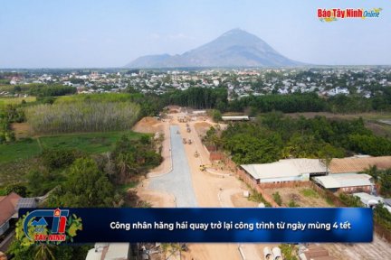 Công nhân hăng hái quay trở lại công trình từ ngày mùng 4 tết