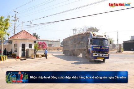 Nhộn nhịp hoạt động xuất nhập khẩu hàng hoá và nông sản ngày đầu năm