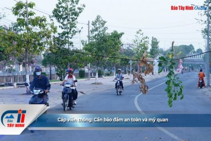 Cáp viễn thông: Cần bảo đảm an toàn và mỹ quan