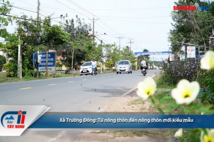 Xã Trường Đông: Từ nông thôn đến nông thôn mới kiểu mẫu