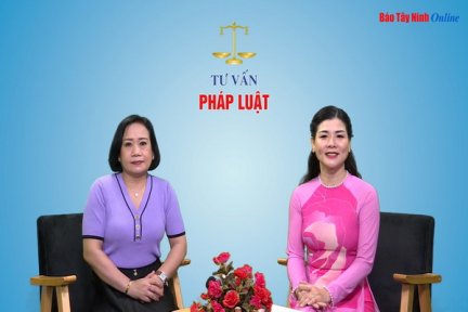 Các quy định của pháp luật liên quan đến việc thuê nhà ở