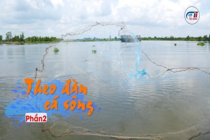 Ký sự Vàm Cỏ Đông <br> Tập 11: Nghề cá trên sông-Phần 2