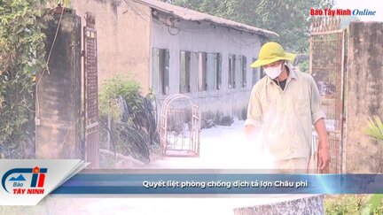 Quyết liệt phòng chống dịch tả lợn Châu phi