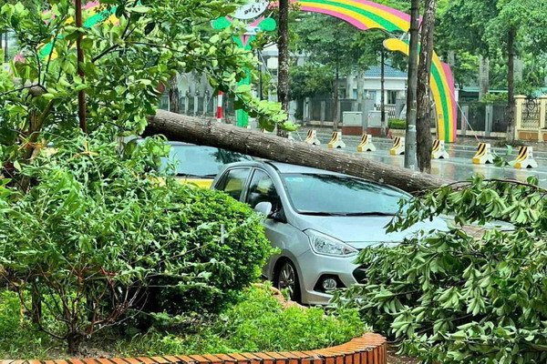 Bão Yagi, gần sát bờ biển Quảng Ninh, Hải Phòng, Thái Bình