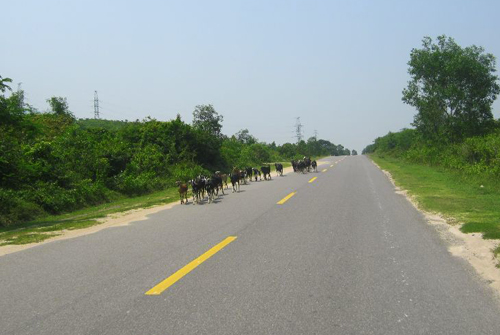  Đường > 60 km/h và cho phép vượt. Ảnh: O.S.