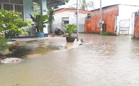 Cần có giải pháp căn cơ, đồng bộ