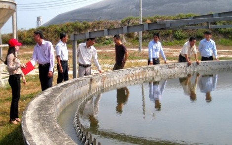 Giám sát triển khai quy hoạch Cụm Công nghiệp Thanh Thanh Xuân