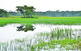 Nhớ mãi trận đánh Lò Gò - Xa Mát