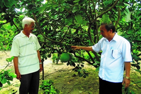 Khi nhà khoa học đồng hành cùng nhà nông