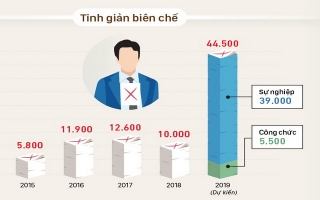 Tinh giản hơn 44.000 biên chế trong năm 2019