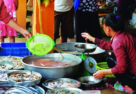 Hải sản chứa tạp chất ở các chợ dân sinh đã giảm