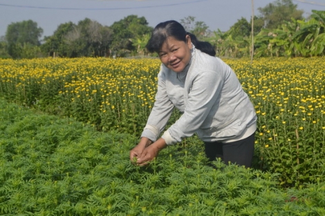 Nông dân vui mừng vì được mùa hoa Tết