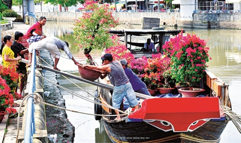 Ngang qua chợ hoa