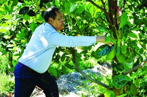 Làm nông nghiệp bằng tinh thần người lính