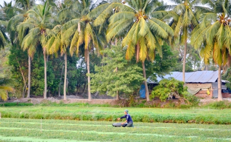 Tháng Giêng ra đồng…