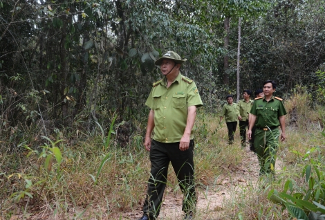 Chủ động phòng chống cháy rừng