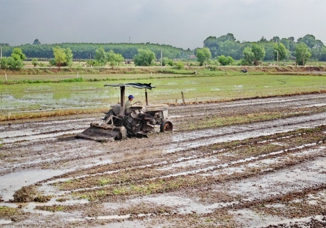 Thông tin kinh tế trong tỉnh