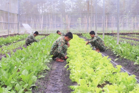 Thi đua làm theo lời Bác Hồ dạy