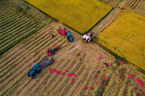 Tây Ninh trên đường đổi mới, phát triển (Tiếp theo và hết)