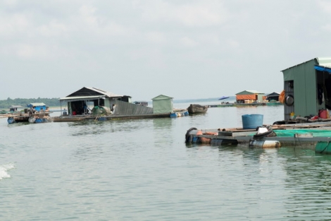 Đi tìm nguyên nhân khiến nước hồ Dầu Tiếng bị đục