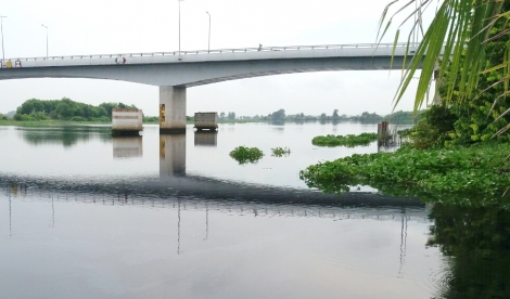 Nước sông Vàm Cỏ Đông chuyển màu đen, bốc mùi hôi thối