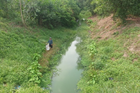 Trang trại nuôi heo xây dựng trái phép trên đất công, gây ô nhiễm môi trường