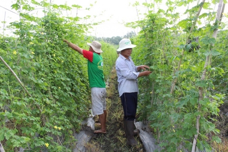 6 tháng đầu năm: Triển khai kịp thời, có hiệu quả các chương trình tín dụng