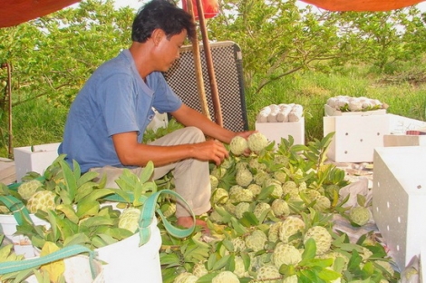 Thông tin kinh tế trong tỉnh