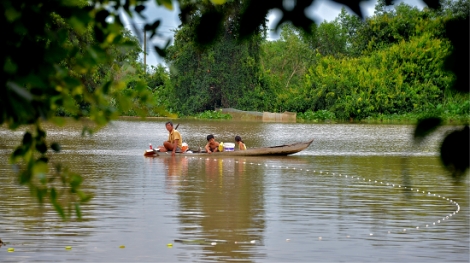 Bắt cá nằm mà