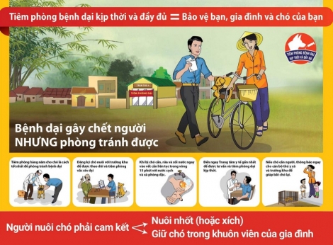 Bị chó nhà cắn, một người lên cơn dại tử vong