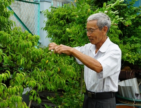 Nơi kết nối những người đam mê sinh vật cảnh