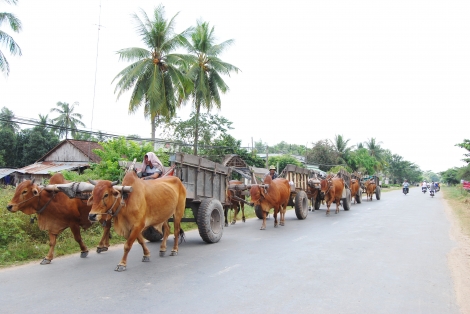 Đôn Thuận - địa linh nhân kiệt (Tiếp theo)