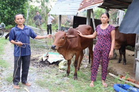 Xã Phước Thạnh: Hàng trăm hộ thoát nghèo từ nguồn vốn vay Ngân hàng chính sách xã hội